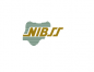Nigeria Inter-Bank Settlement System Plc (NIBSS)