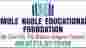 Imole Noble Educational Foundation (INEF)