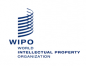World Intellectual Property Organization(WIPO)