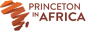 Princeton in Africa(PIAF)