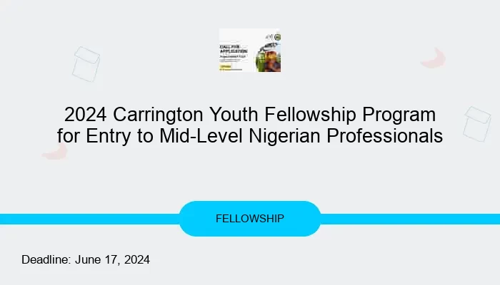 2024 Carrington Youth Fellowship Program for Entry to Mid-Level Nigerian Professionals