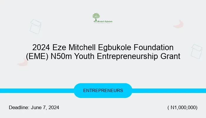 2024 Eze Mitchell Egbukole Foundation (EME) N50m Youth Entrepreneurship Grant