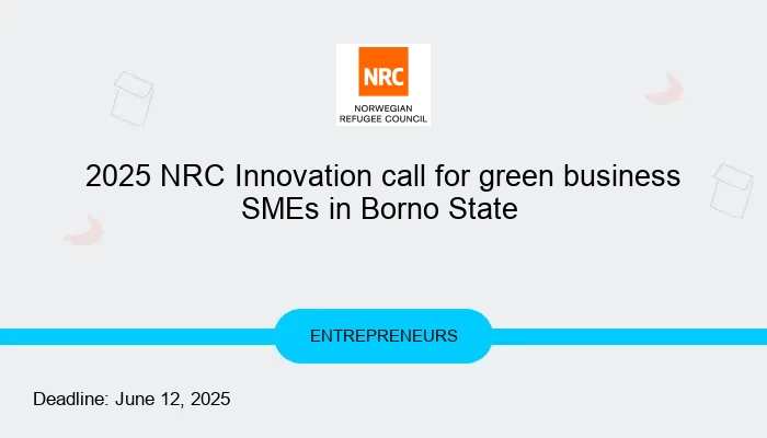 2025 NRC Innovation call for green business SMEs in Borno State