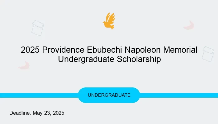 2025 Providence Ebubechi Napoleon Memorial Undergraduate Scholarship