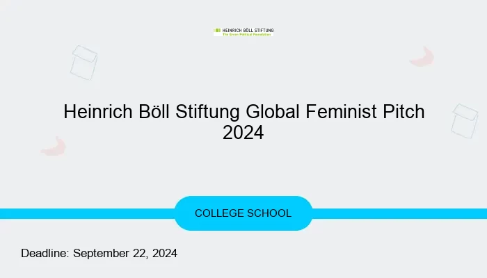 Heinrich Böll Stiftung Global Feminist Pitch 2024