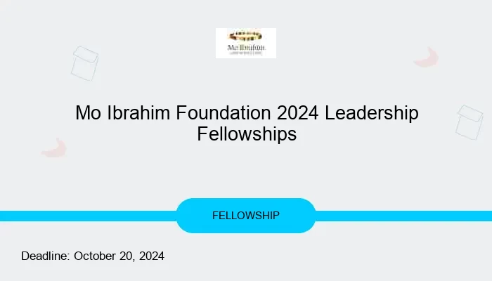 Mo Ibrahim Foundation 2024 Leadership Fellowships