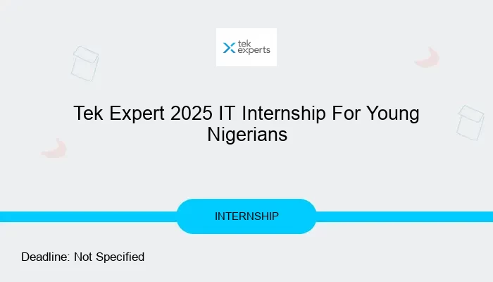 Tek Expert 2025 IT Internship For Young Nigerians