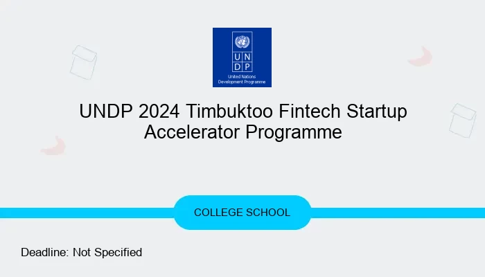 UNDP 2024 Timbuktoo Fintech Startup Accelerator Programme