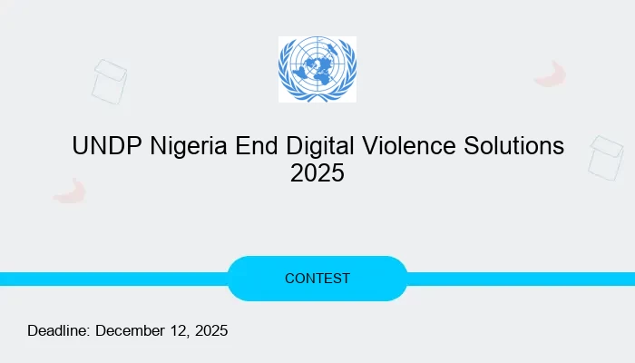 UNDP Nigeria End Digital Violence Solutions 2025